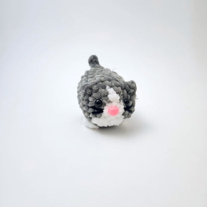 Cat Tiny