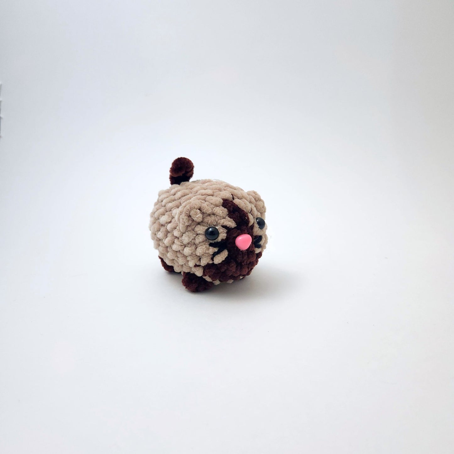Cat Tiny
