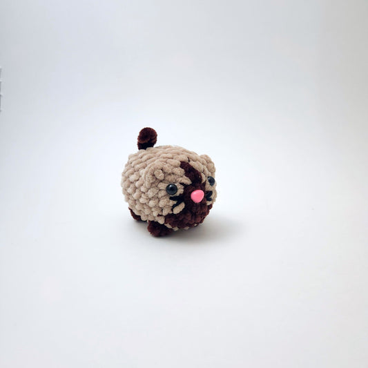 Cat Tiny