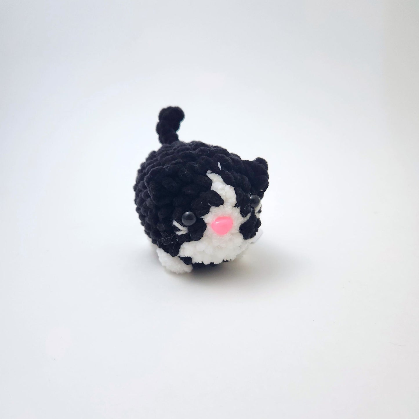 Cat Tiny
