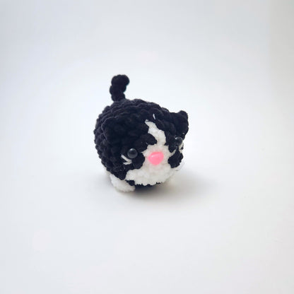 Cat Tiny