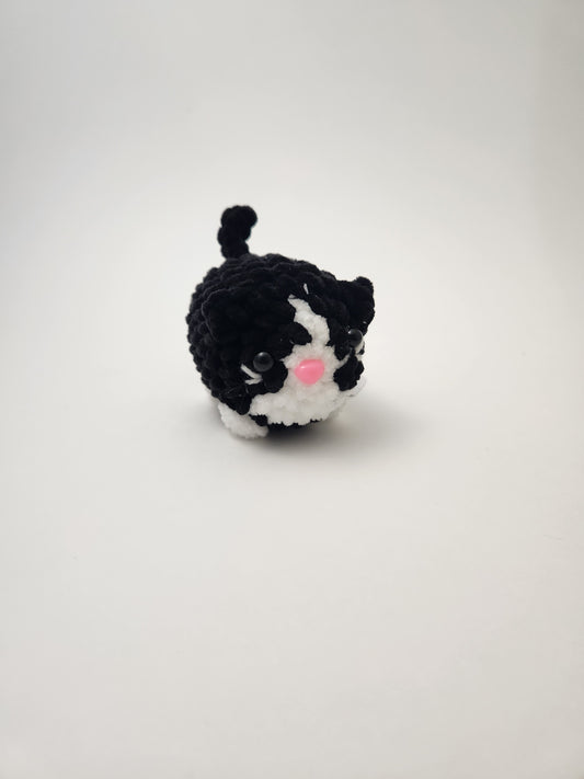 Cat Tiny